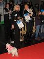IMG_2969a