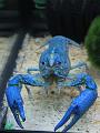 IMG_2995a
