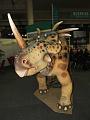 IMG_5282a