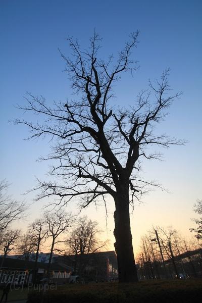 IMG_3598.jpg