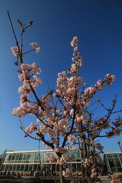 C_IMG_3327.JPG