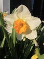 B_IMG_3296a