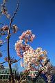 C_IMG_3330