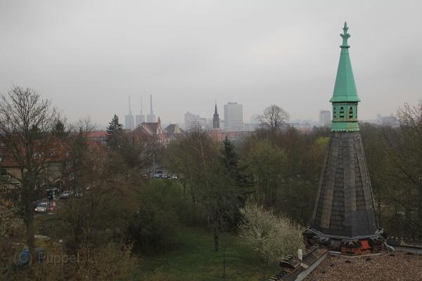 IMG_3816.jpg