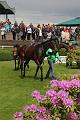 D-B3744-IMG_3427-5