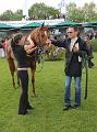 D-B3935-IMG_3608-5a