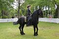 D-B4016-IMG_3689-5