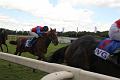 D-B4498-IMG_4151-5