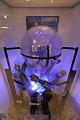 D-E3388-IMG_2642-5