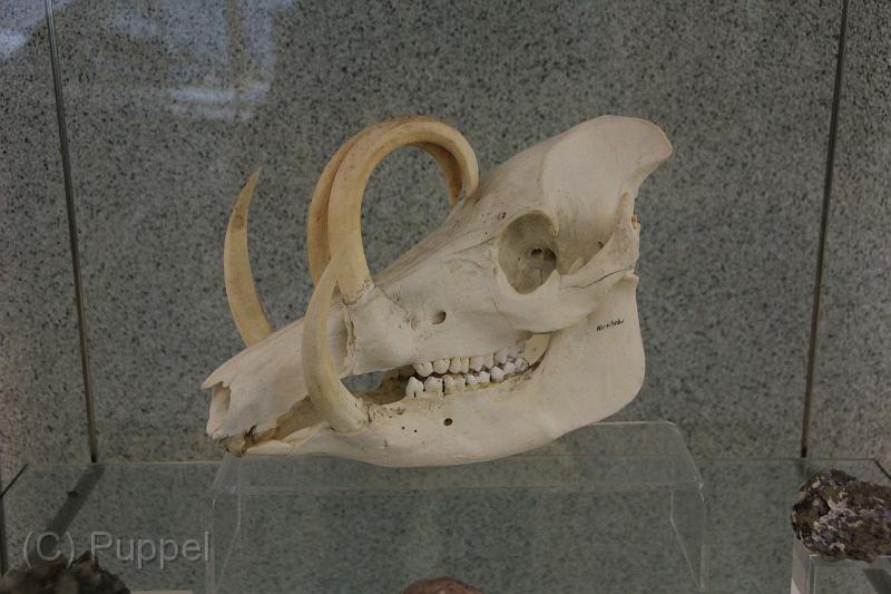 D-E3496-IMG_2744-5.JPG