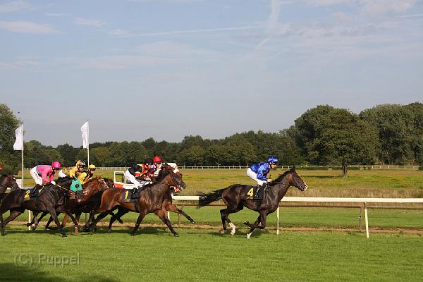 D-G9277-IMG_7040-4.JPG