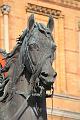 D-H0114-IMG_4597-5