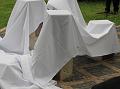 IMG_7282-5a