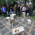 IMG_7496-5a