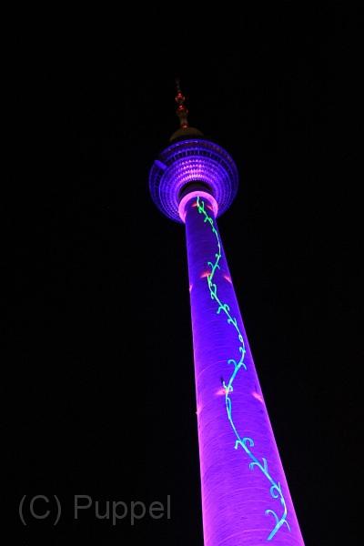 IMG_6552.JPG