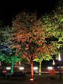 IMG_6914a