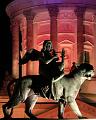 IMG_7043a