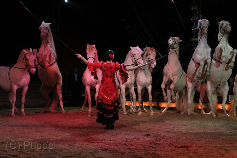 D-10200-IMG10141.JPG