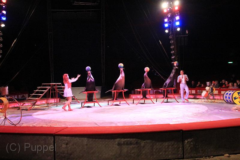 D-20400-IMG10914.JPG