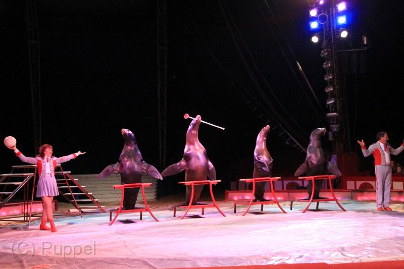 D-21000-IMG10972.JPG
