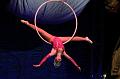 D-00200-IMG09108