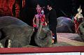 D-03200-IMG09513