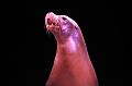 D-20100-IMG10884