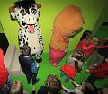 IMG_4161a