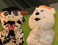 IMG_4213a