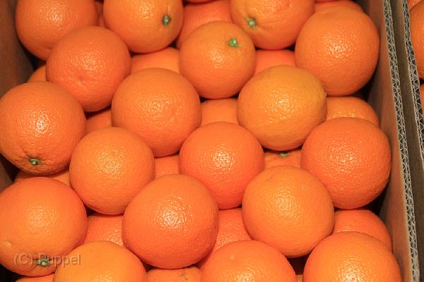 IMG_2284.JPG