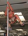 IMG_2231a