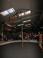 IMG_3507a