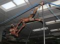 IMG_3764a