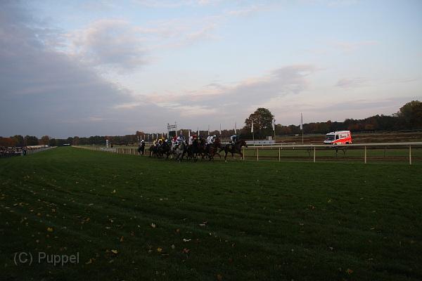 D-J1135-IMG_7841-4.JPG