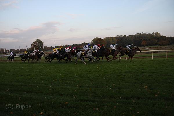 D-J1141-IMG_7847-4.JPG