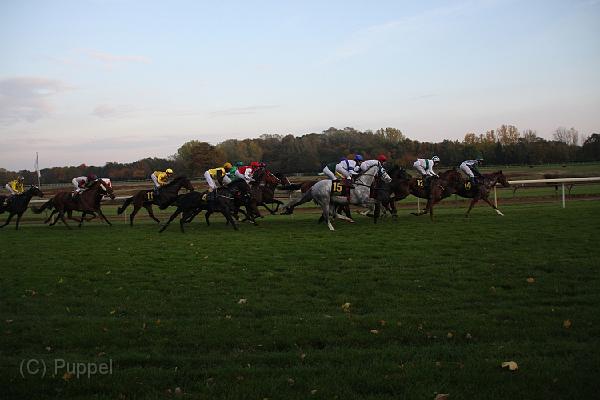 D-J1143-IMG_7849-4.JPG