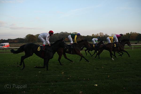 D-J1190-IMG_7868-4.JPG
