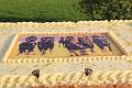 D-J0147-IMG_4629-5