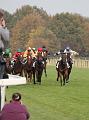 D-J0410-IMG_4892-5a