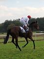 D-J0431-IMG_4913-5a