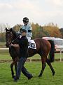 D-J0435-IMG_4917-5a