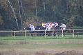D-J0645-IMG_5127-5
