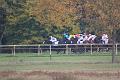 D-J0646-IMG_5128-5