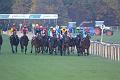 D-J0834-IMG_5305-5
