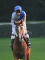 D-J0944-IMG_5341-5a