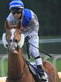 D-J0946-IMG_5343-5a