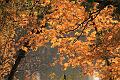 D-J1003-IMG_5400-5