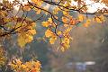 D-J1009-IMG_5406-5