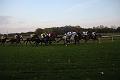 D-J1143-IMG_7849-4
