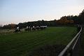 D-J1155-IMG_7861-4